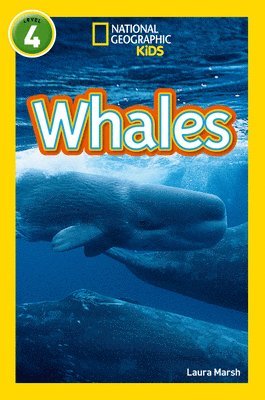 Whales 1