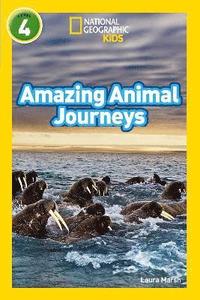bokomslag Amazing Animal Journeys