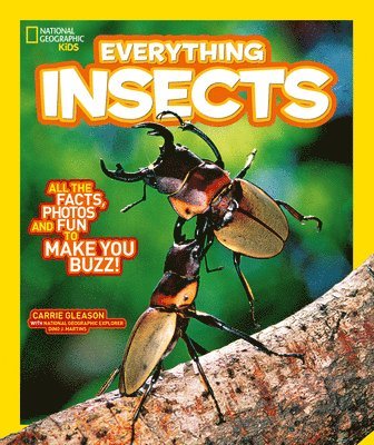 bokomslag Everything: Insects