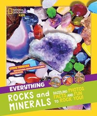 bokomslag Everything: Rocks and Minerals