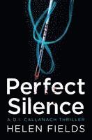 bokomslag Perfect Silence