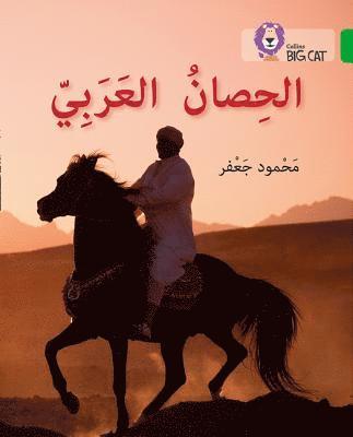 Mahmoud Gaafar - Arabian Horse, Häftad