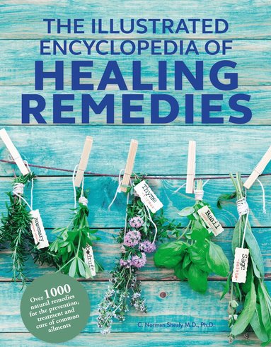 bokomslag Healing Remedies, Updated Edition