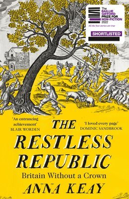 bokomslag Restless Republic