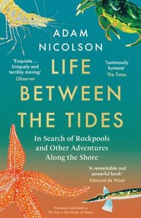 bokomslag Life Between the Tides