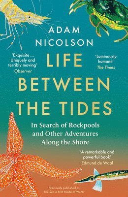 bokomslag Life Between the Tides