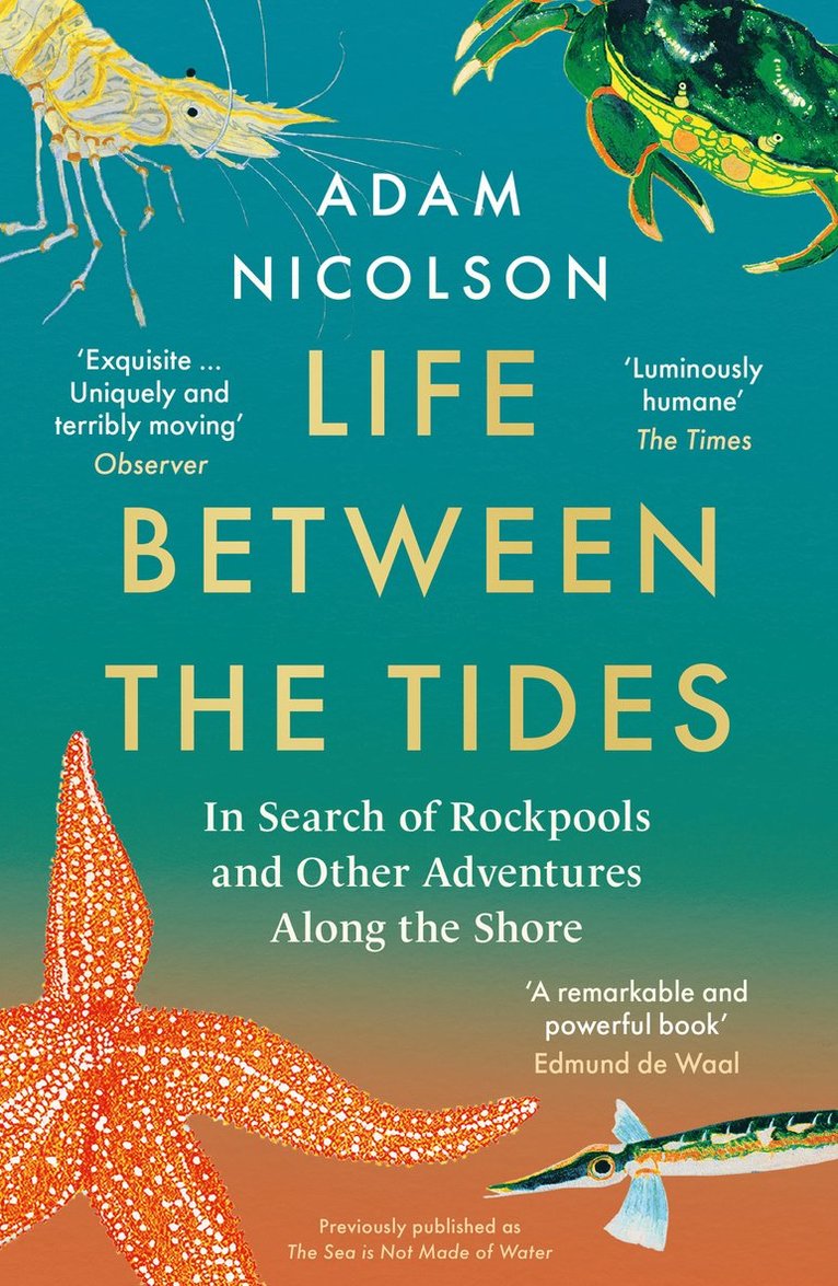 Adam Nicolson - Life Between the Tides, Häftad