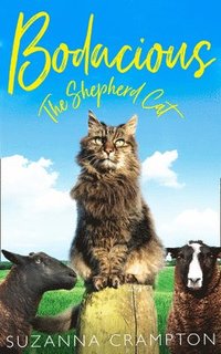 bokomslag Bodacious: The Shepherd Cat