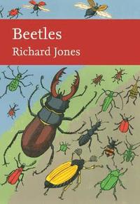 bokomslag Beetles