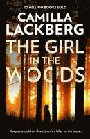 bokomslag Girl In The Woods