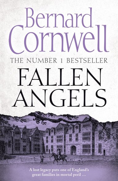 bokomslag Fallen Angels