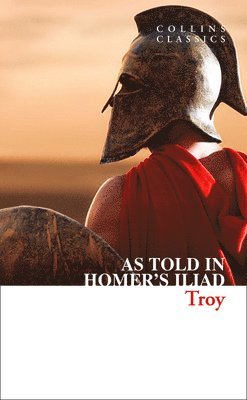 bokomslag Troy