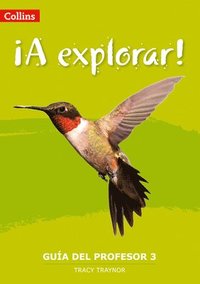 bokomslag Explorar: Teacher's Guide Level 3