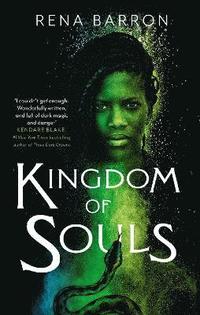 bokomslag Kingdom of Souls