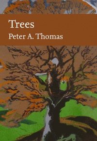 bokomslag Trees