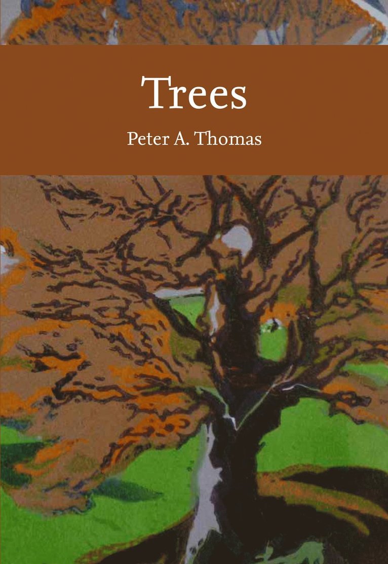 Trees 1