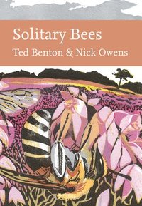 bokomslag Solitary Bees