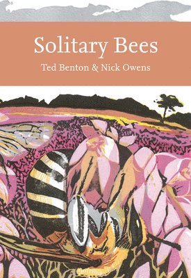 bokomslag Solitary Bees