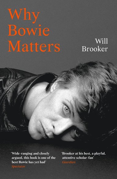 bokomslag Why Bowie Matters