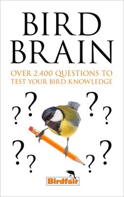Bird Brain 1