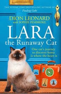 bokomslag Lara The Runaway Cat