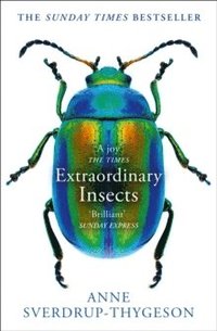 bokomslag Extraordinary Insects : Weird, Wonderful, Indispensable, the Ones Who Run o