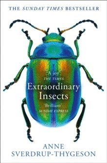 bokomslag Extraordinary Insects