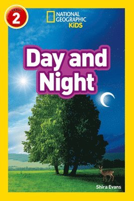 bokomslag Day and Night