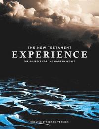 bokomslag New Testament Experience