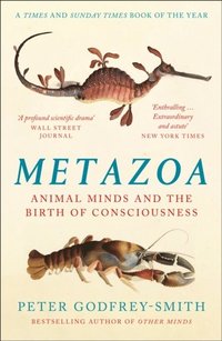 bokomslag Metazoa