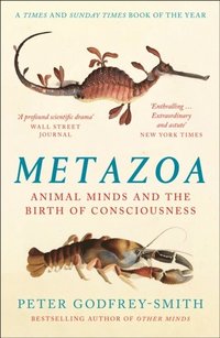 bokomslag Metazoa: Animal Minds and the Birth of Consciousness