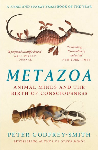 Peter Godfrey-Smith - Metazoa, Häftad