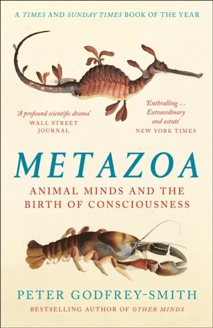 Metazoa 1
