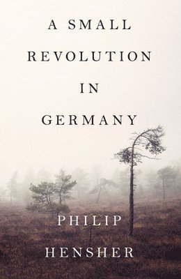 A Small Revolution in Germany 1