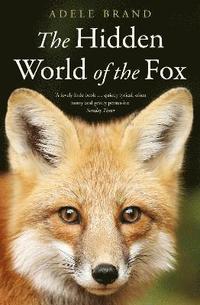 bokomslag The Hidden World of the Fox