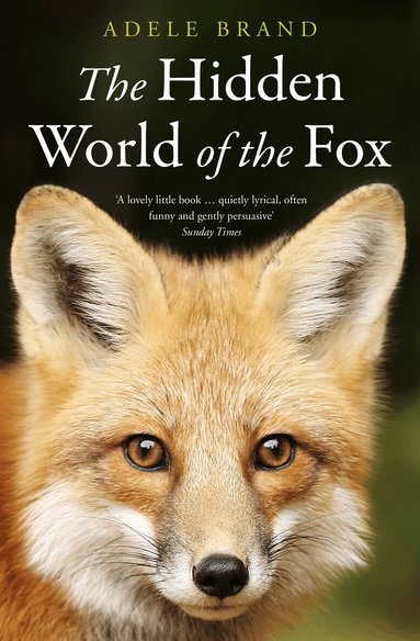Adele Brand - Hidden World of the Fox, Häftad