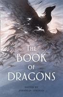 bokomslag Book Of Dragons