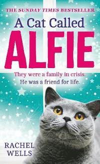 bokomslag A Cat Called Alfie