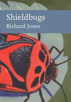 bokomslag Shieldbugs
