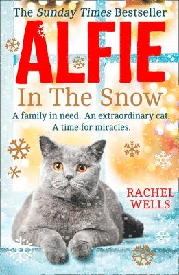 Alfie in the Snow 1