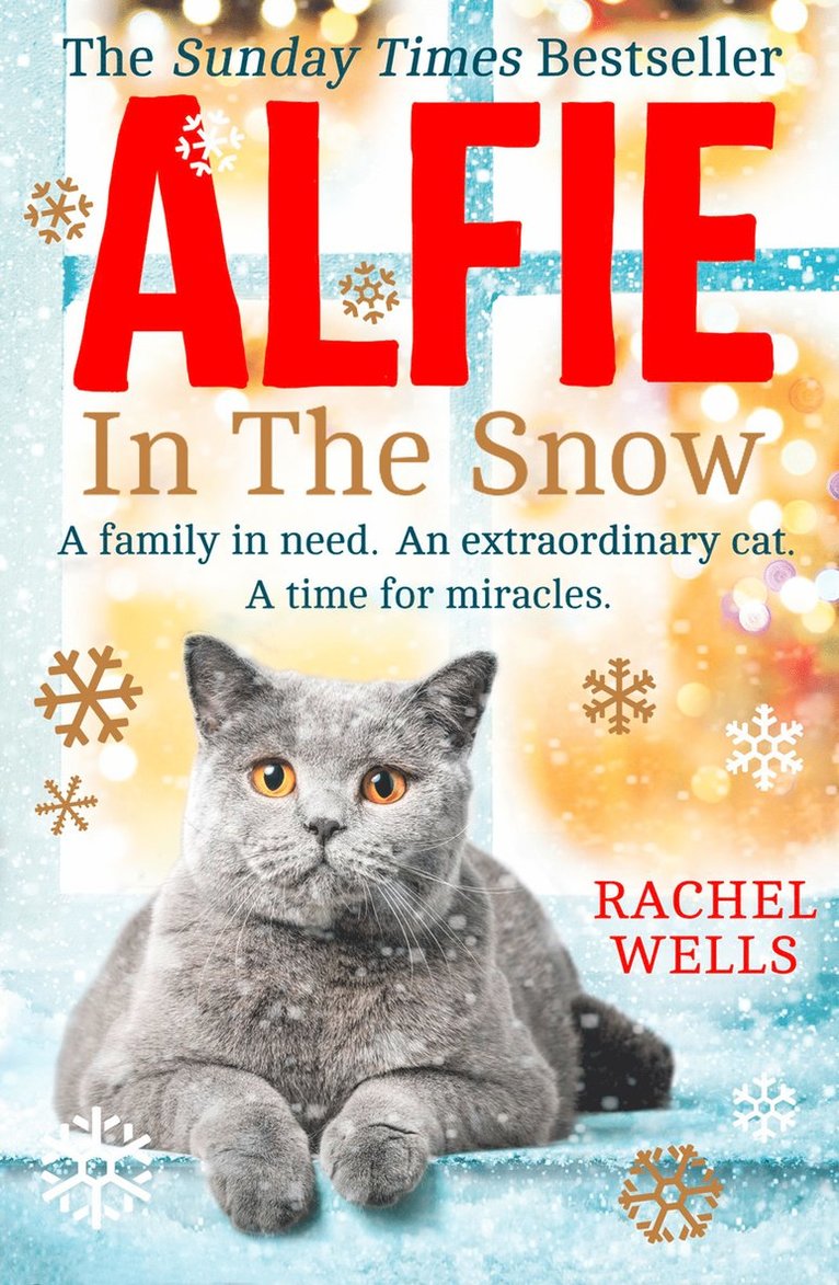 Rachel Wells - Alfie in the Snow, Häftad