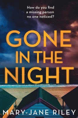 bokomslag Gone in the Night