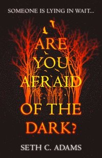 bokomslag Are You Afraid of the Dark?