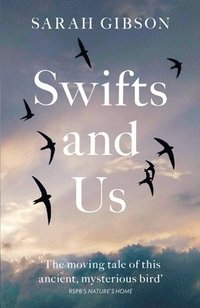 bokomslag Swifts and Us