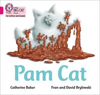 bokomslag Pam Cat