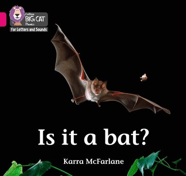 Karra McFarlane - Is it a Bat?, Häftad