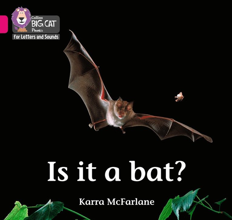 Karra McFarlane, Karra Mcfarlane - Is it a Bat?, Häftad