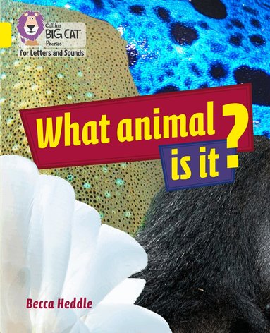 Becca Heddle - What Animal is It?, Häftad