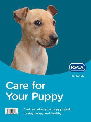 Care For Your Puppy 1