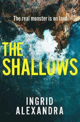 The Shallows 1